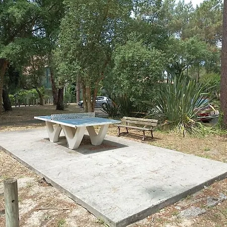 Appartement Entre Plage Et Lac Refait A Neuf, Wifi Soustons Exterior foto