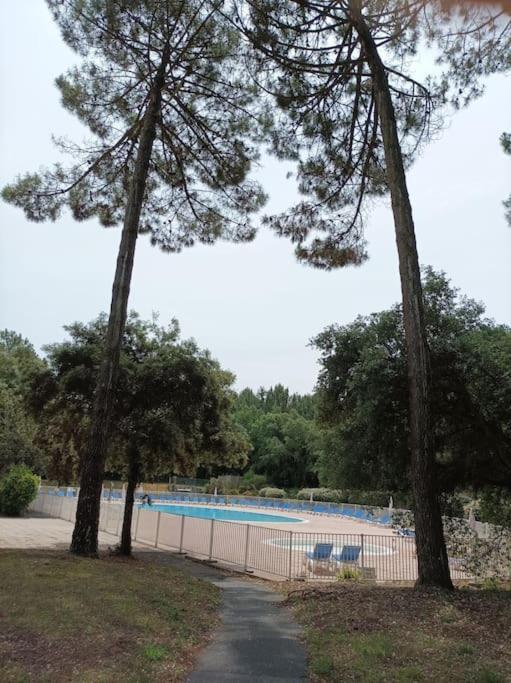 Apartment Entre Et Refait A Neuf, Wifi *